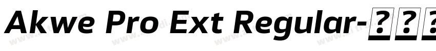 Akwe Pro Ext Regular字体转换